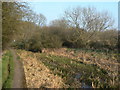 Cromford Canal near Lower Hartshay