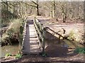 Footbridge in Whetsted Wood