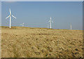 SN7280 : The Rheidol Wind Farm by Nigel Brown