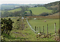 Footpath near Llanycrws, Carmarthenshire