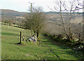 Old lane east of Pentrefelin, Ceredigion