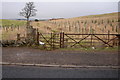 View of Footpath that leads from the B9128 to the Forfar / Arbroath Road (A932)