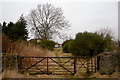 Nearing the end of the Footpath from the B9128 to the A923