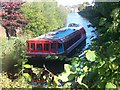 Sheffield and Tinsley Canal from Bacon Lane.