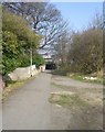 Footpath - Spawd Bone Lane