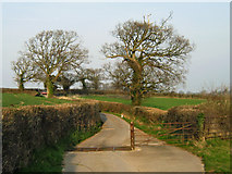 ST2536 : Entrance to Rexworthy Farm by Ken Grainger