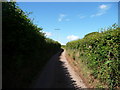 Mid Devon : Country Road