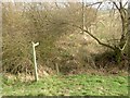 A Little used footpath to Everton Carr Farm