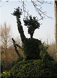 ST5602 : Topiary hedge - Rampisham by Sarah Smith