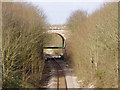 Railway Bridge Near Eastfield Farm