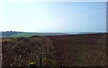 SM8922 : Across fields to distant Newgale by Deborah Tilley
