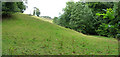 SS9616 : Mid Devon : Rolling Hills by Lewis Clarke