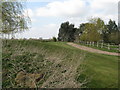 Track to Bottings Farm