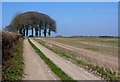 ST6801 : Track from Southcombe Farm by Nigel Mykura