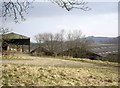 Farmyard, Invermarkie