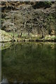 Pwllgolchu or Washpool on the River Irfon