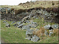 Rock exposure north-west of Ffarmers, Carmarthenshire