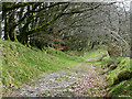 Lane to Llanycrwys, Carmarthenshire