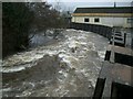 River Urr in Dalbeattie in full spate