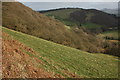 Grazing land above Nant Einon