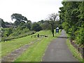 Plains Country Park