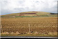 Field of stubble