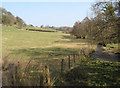 Fields, Nant Mawr