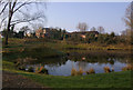 Pond near Royal Earlswood Park