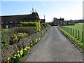 Road to New Oast, Lashenden Farm off the A274