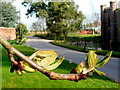 Horse Chestnut buds breaking 16.03.09 2