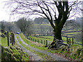 Byway descending from Bryn Mawr, Carmarthenshire