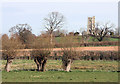 Willows at Sawyers Hill.