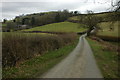 Country road past Wern Farm