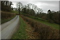 Country road at Allt Cwmynys