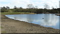 Seven Islands Pond, Mitcham Common