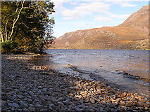 NH0065 : The shore on Loch Maree by Stuart Wilding