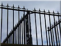 Railings, Wellington Terrace