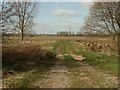 A farm track by Hammonds Road