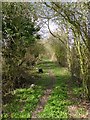 Public footpath