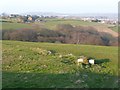 Footpath and trough off Moor End Road, Ovenden