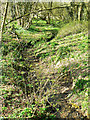 Thunder Brook, downstream, Wootton Bassett