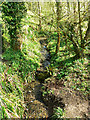 Thunder Brook, upstream, Wootton Bassett