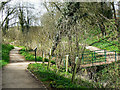 The bridge at Thunder Brook