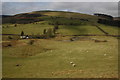 Grazing land in the Gwesyn valley