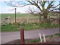 Footpath crosses Ludgate Road