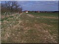 Footpath meets bridleway near Orchard