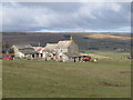 Sinderhope Pony Trekking Centre