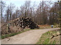 Log Pile and forestry track