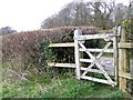 Footpath gate, Cobley Farm