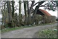 Bridleway towards Ashford Hill